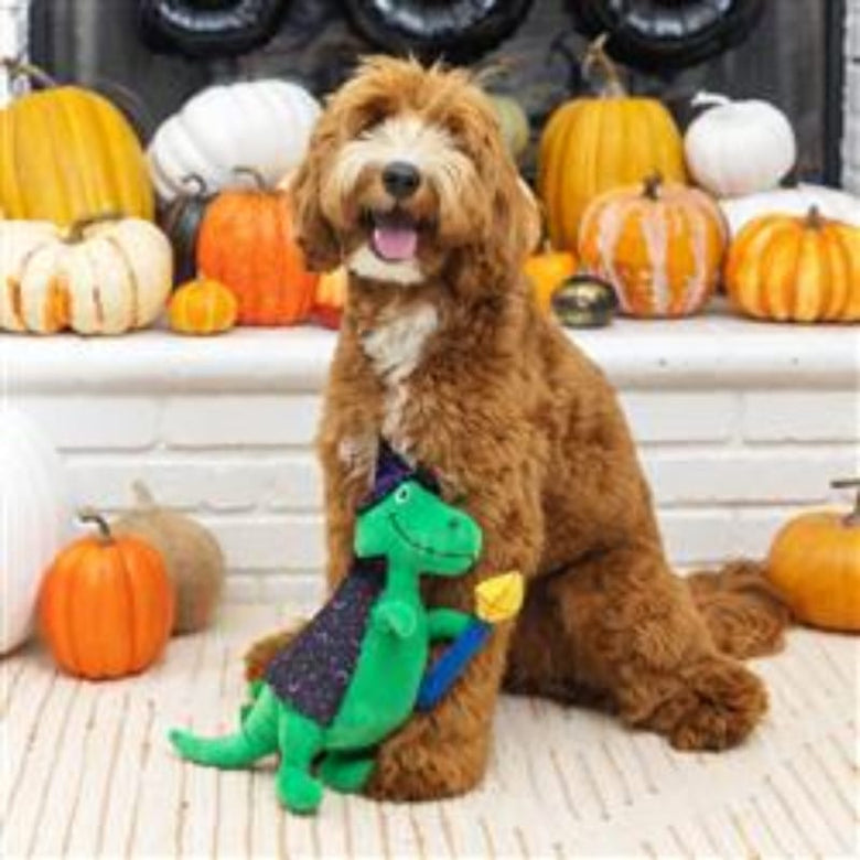PetShop by Fringe Studio dog toys Spell-A-Saurus Rex Plush Squeak Dog Toy