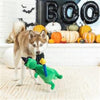 PetShop by Fringe Studio dog toys Spell-A-Saurus Rex Plush Squeak Dog Toy