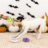 Pet Shop by Fringe Studio dog toys "Ain't Got No Body" Plush Squeak Dog Toys Set - 3 pc