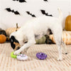 Pet Shop by Fringe Studio dog toys "Ain't Got No Body" Plush Squeak Dog Toys Set - 3 pc
