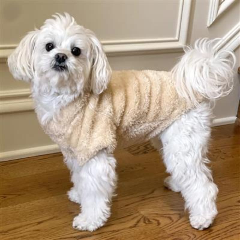 Doggie Design SWEATERS Cream Soft Plush Warm Dog Pullover