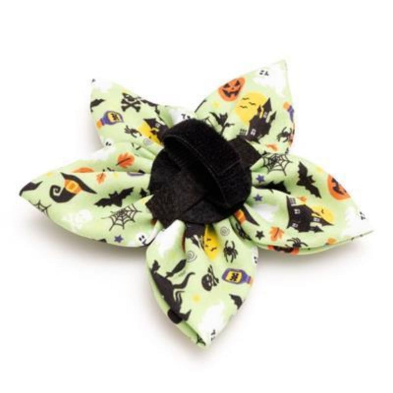 The Worthy Dog Bow Tie Witches Brew Lime Green Flower Pet Collar Attachment - 2 Sizes