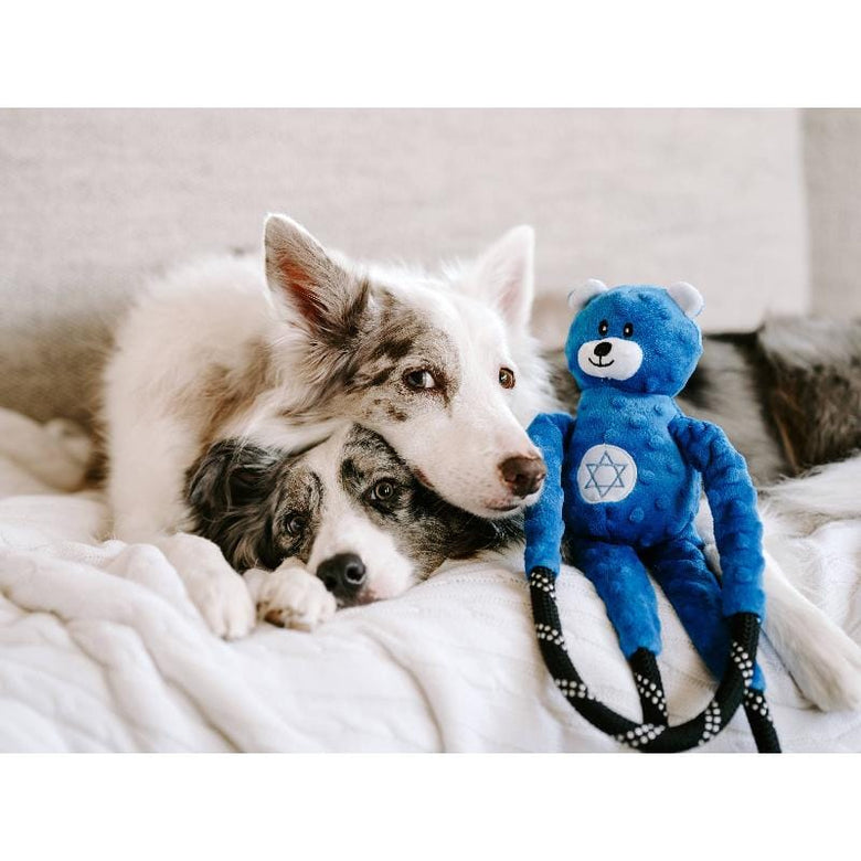 ZippyPaws dog toys Hanukkah RopeTugz Bear Dog Toy