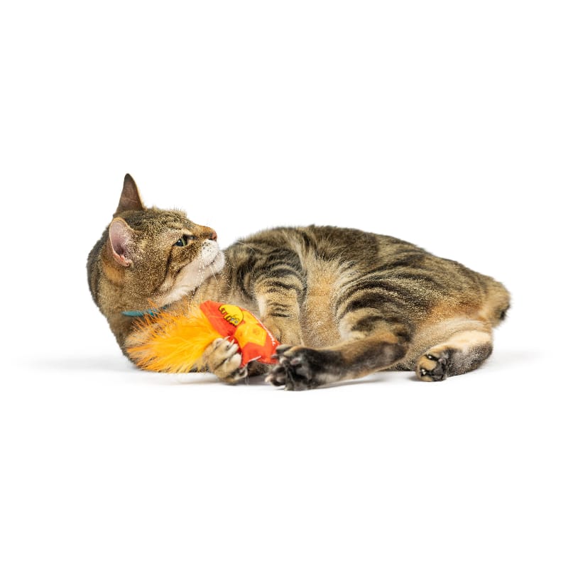 Huxley & Kent Cat Toys Sneeze-It Cat Toy