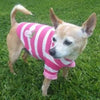 Barker's Bowtique Hoodies Pink Stripe Cherry Dog Hoodie