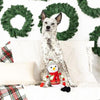 Pet Shop by Fringe Studio dog toys Too Cute to Chill Holiday Plush Squeak Dog Toy