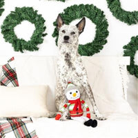 Pet Shop by Fringe Studio dog toys Too Cute to Chill Holiday Plush Squeak Dog Toy