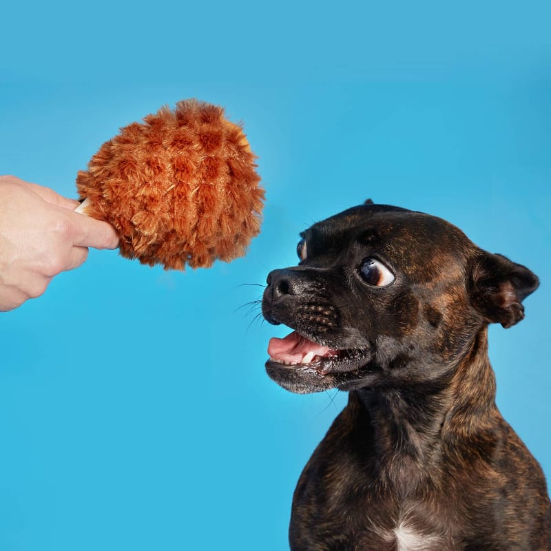 BARK dog toys Fall Season Tavern Turkey Leg Plush Squeak Dog Toy