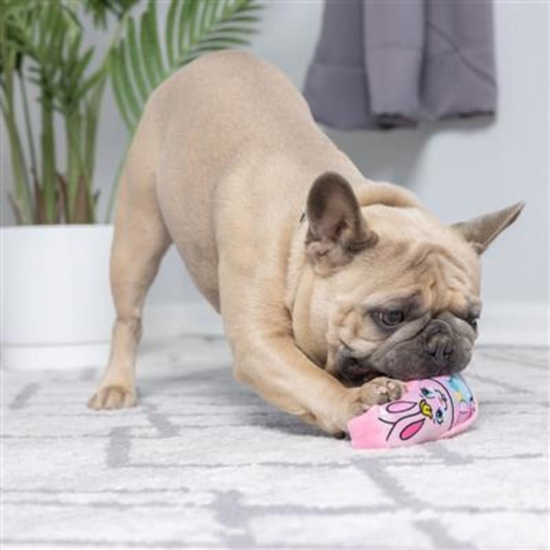Huxley & Kent dog toys Tiny Tuff Easter Spring Funny Bunnies Plush Squeak Dog Toy Set - 2 Pc