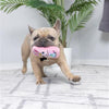 Huxley & Kent dog toys Tiny Tuff Easter Spring Funny Bunnies Plush Squeak Dog Toy Set - 2 Pc