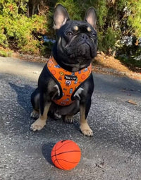 Mina + Pup Harnesses Got Game? Basketball and Sports Orange Adjustable Pet Harness