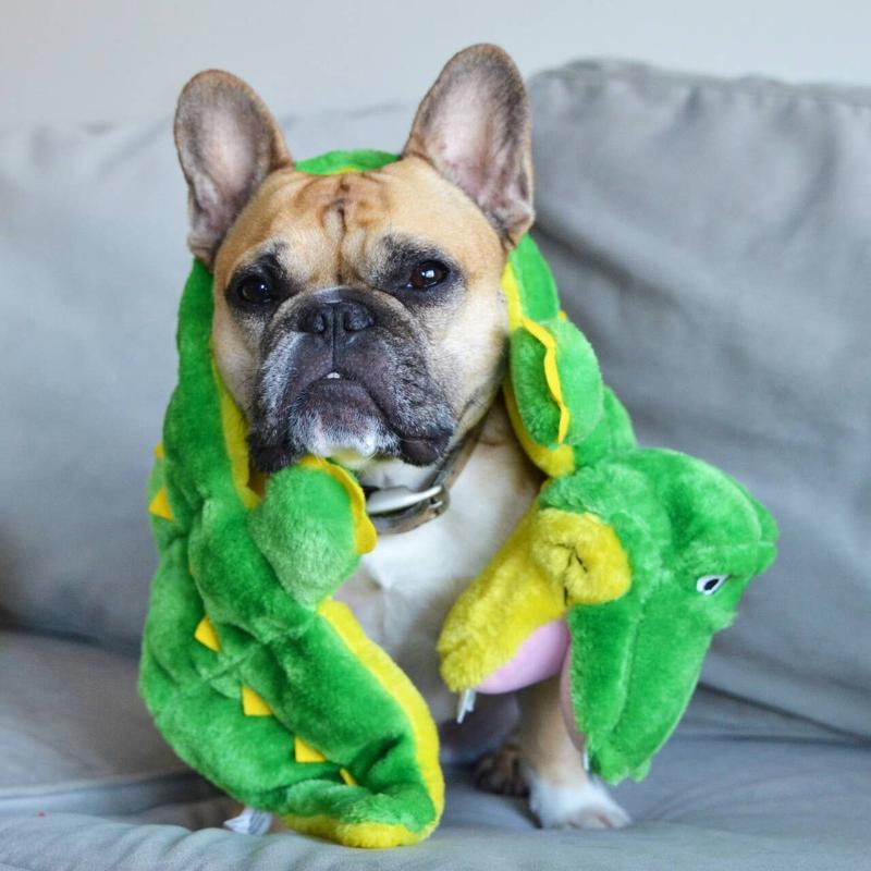 Outward Hound dog toys Squeaker Matz Gator Plush Dog Toy
