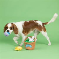 Petshop by Fringe Studio dog toys Easter Egg Hunt Squad Hide N Seek Interactive Plush Dog Toy Set - 4 Pc