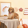 Hugsmart Products Inc dog toys Yappy Birthday Brown Birthday Coffee Cup Rubber Dog Toy