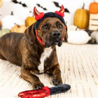 PetShop by Fringe Studio dog toys Cute lil Devil Dog Costume/ Play Set - 2 Pc