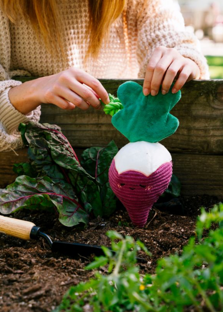 Radish Crinkle Crops Leafy Plush Squeaky Crinkle Dog Toy