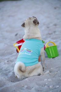 Life's a Beach Teal Blue Embroidered Summer Dog Tee