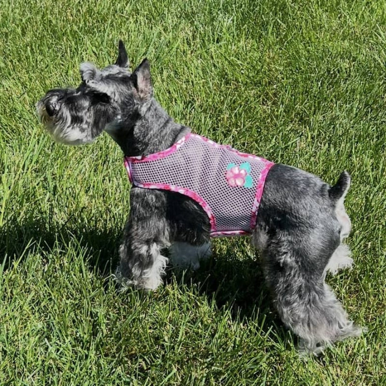 Doggie Design, Inc Harnesses Cool Mesh Dog Harness with Leash - Hawaiian Hibiscus Pink