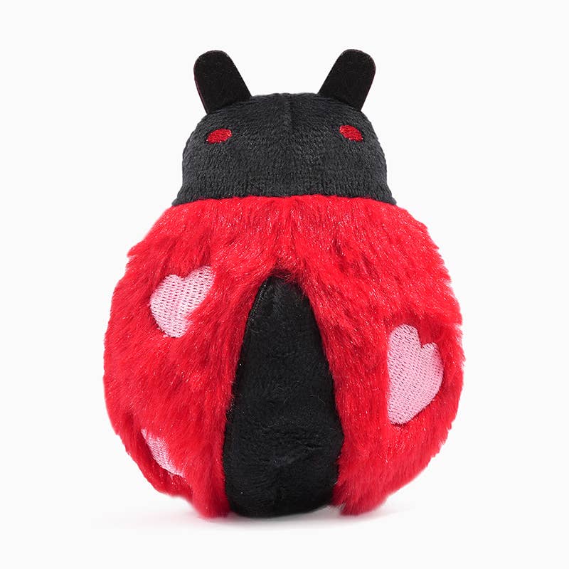 Hugsmart Products Inc Dog Toys Woof Love Bug Ball Spring Dog Toy