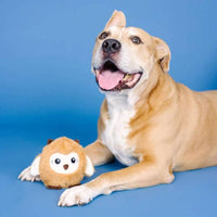 PetShop by Fringe Studio dog toys Don't Ruffle My Feathers Rubber & Plush Dog Toy
