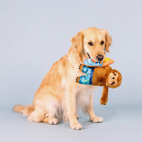 Makin' Waves Summer Beach Surf Sloth Plush Squeaky Dog Toy