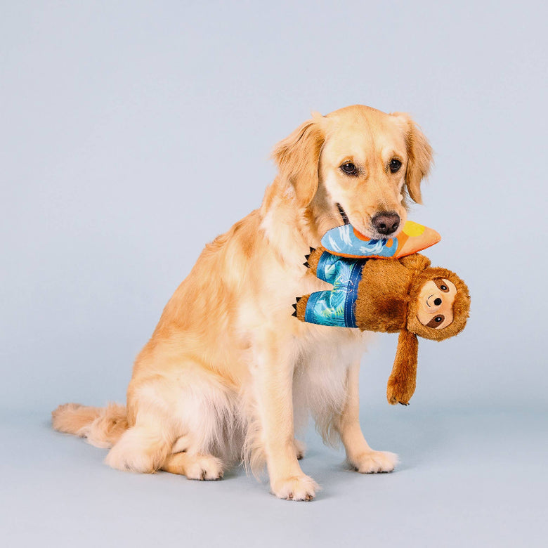 Makin' Waves Summer Beach Surf Sloth Plush Squeaky Dog Toy