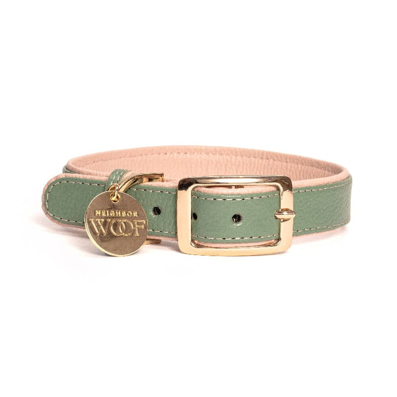 Neighborwoof COLLARS XS Beverly Hills Green Handcrafted Leather with Gold Hardware Dog Collar