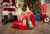 Huxley & Kent dog toys Let It Snow Merlot Holiday Plush Squeaky Dog Toy