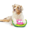 Huxley & Kent Dog Toys Fetchies Walter Melon Plush Squeak Dog Toy - 2 Sizes