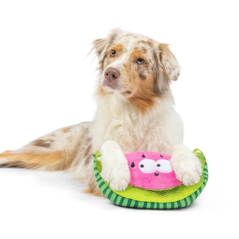 Huxley & Kent Dog Toys Fetchies Walter Melon Plush Squeak Dog Toy - 2 Sizes