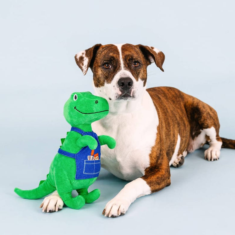 Petshop by Fringe Studio dog toys "I Dig You" Garden Time Rex Plush Squeak Dog Toy