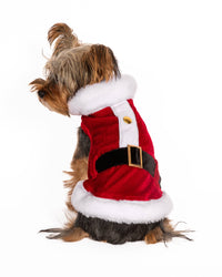 Christmas Santa Claus Red Velvet Holiday Dog Coat