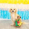 Fiesta Till You Siesta Hide & Seek Plush Interactive Dog Toy Set - 3 Pc