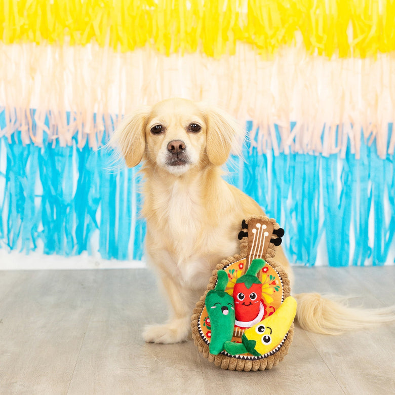 Fiesta Till You Siesta Hide & Seek Plush Interactive Dog Toy Set - 3 Pc
