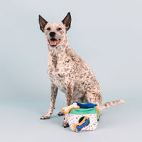 All About the Gifts Hide & Seek Interactive Dog Toy Set - 4Pc