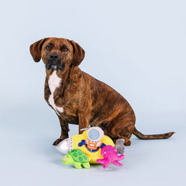 Into The Deep Hide & Seek Interactive Plush Squeak Dog Toy Set - 4 Pc