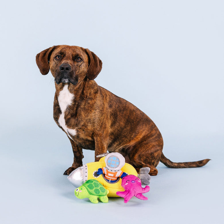 Into The Deep Hide & Seek Interactive Plush Squeak Dog Toy Set - 4 Pc