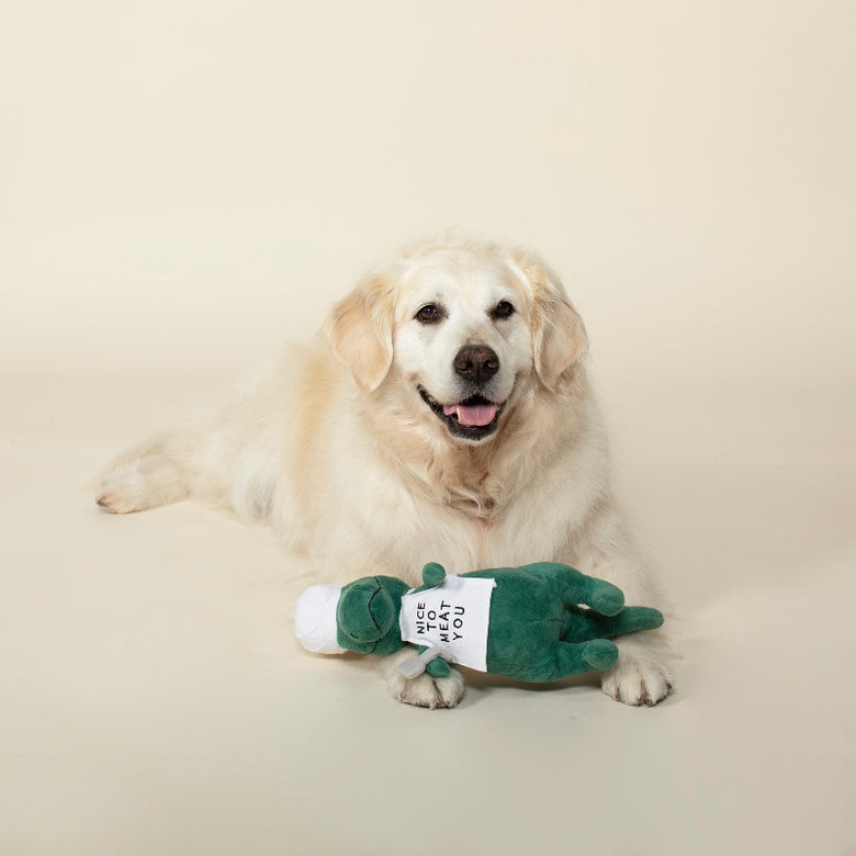 BBQ Rex Nice to Meat You Plush Squeaky Dog Toy
