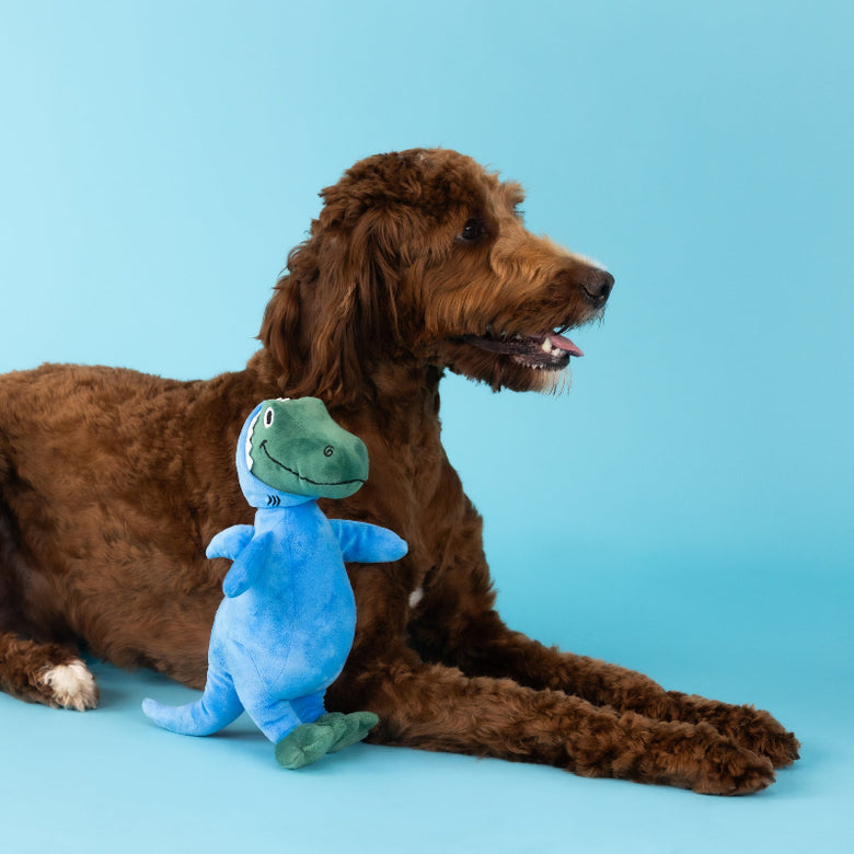Shark Rex Feelin' Jawsome! Blue Plush Squeaky Dog Toy