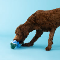Shark Rex Feelin' Jawsome! Blue Plush Squeaky Dog Toy