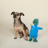 Shark Rex Feelin' Jawsome! Blue Plush Squeaky Dog Toy