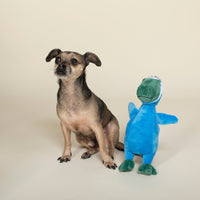Shark Rex Feelin' Jawsome! Blue Plush Squeaky Dog Toy