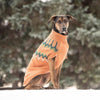 GF Pet Dog Apparel Heritage Hazel Dog Sweater