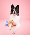 Specks and Pets dog toys Bling Bling Diamond Ring Plush Squeak Dog Toy 5”