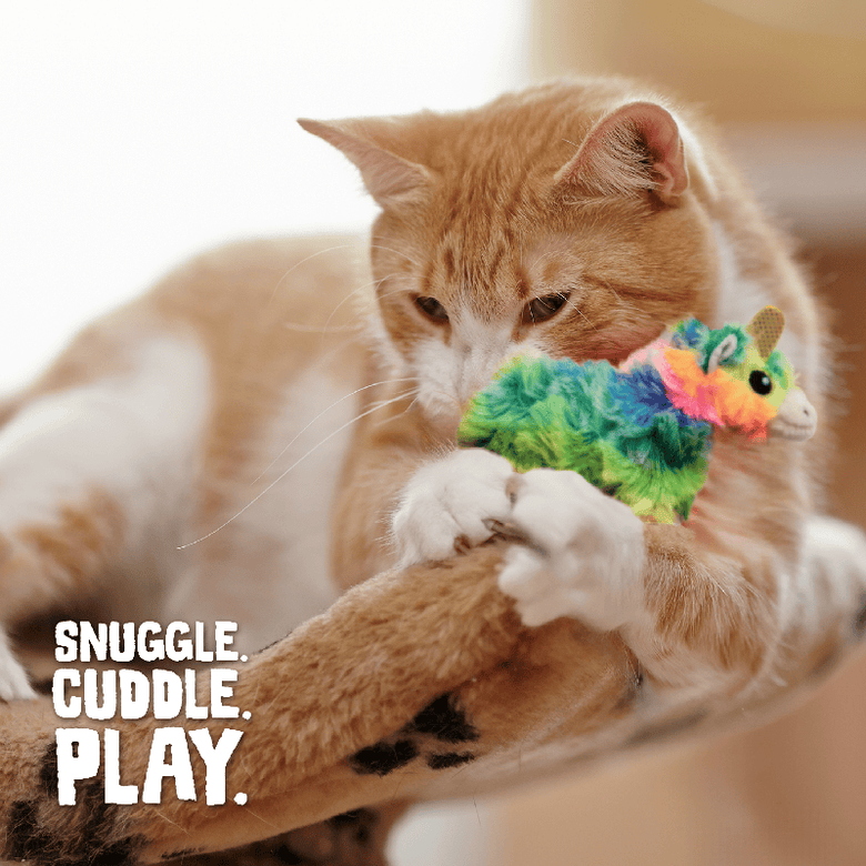 SnugArooz Cat Toys Kitty Momma Rainbow Cat Toy - 4"