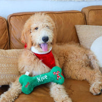 Huxley & Kent Huxley & Kent - Naughty Nice Bone Dog Toy: Large