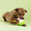 Petshop by Fringe Studio dog toys Coca-Nutz About You Plush Dog Toy