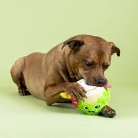 Petshop by Fringe Studio dog toys Coca-Nutz About You Plush Dog Toy