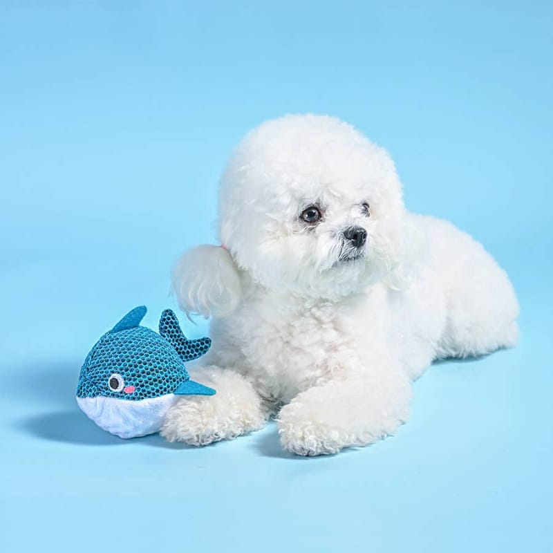 Hugsmart Products Inc dog toys Ocean Pals Blue Dolphin Ball Dog Toy