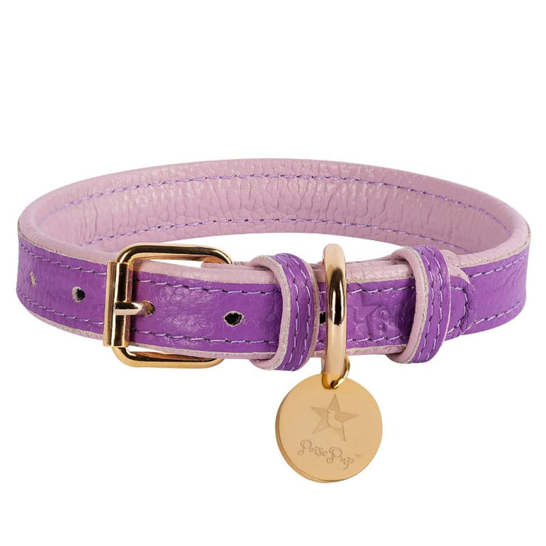 PoisePup Collars XS Lavish Lavender Luxury Dog Collar